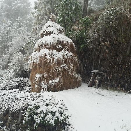 Aagaman Woods Apartment Shimla Luaran gambar