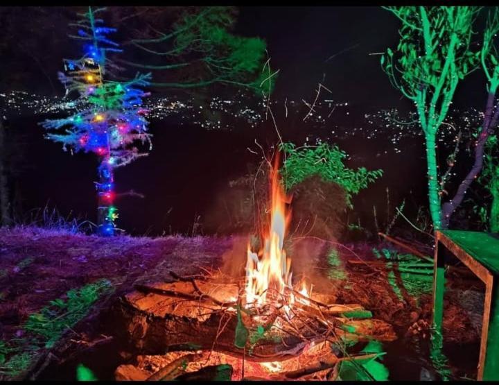 Aagaman Woods Apartment Shimla Luaran gambar