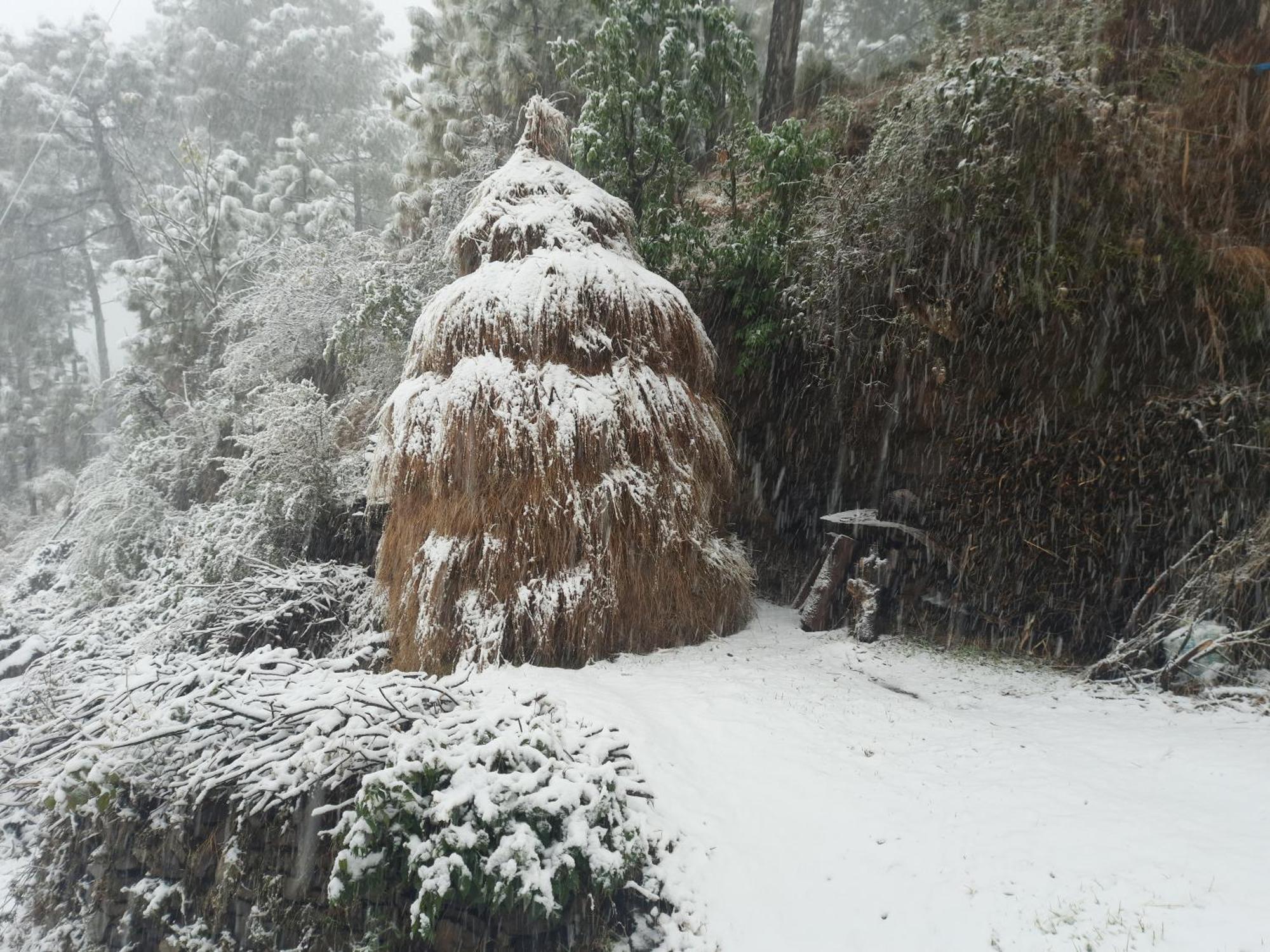 Aagaman Woods Apartment Shimla Luaran gambar